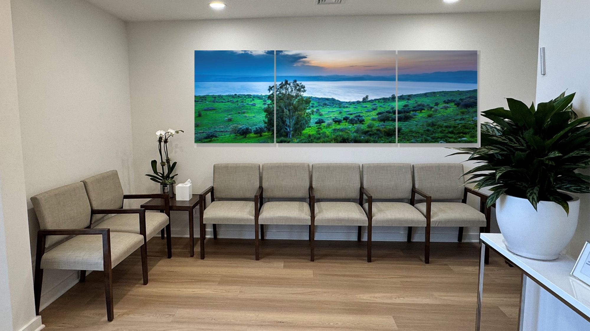 The image shows an interior space with a waiting area featuring multiple chairs arranged around a table, a large wall-mounted photograph depicting a scenic landscape, and a potted plant on a side table.